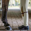 RJ Classics Hannah Jr. Luxe-Tek Jodhpurs, Sand, light weight jods.