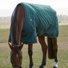 Weatherbeeta Comfitec Essential Std Neck Turnout Sheet, 0g, Green/Black, 48" - 69"
