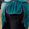 Weatherbeeta Comfitec Essential Std Neck Turnout Sheet, 0g, Green/Black, 48" - 69"