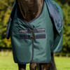 Amigo Ripstop 900D Pony PLUS Turnout, 200g, Dynasty Green/Navy & Silver, 48"-69"