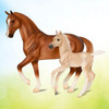 Breyer Freedom Series- Power & Precision- Horse and Foal Set.