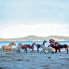 Breyer Stablemates Deluxe Horse Collection.