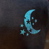 Moon and Many Stars.