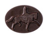 Dressage Classics