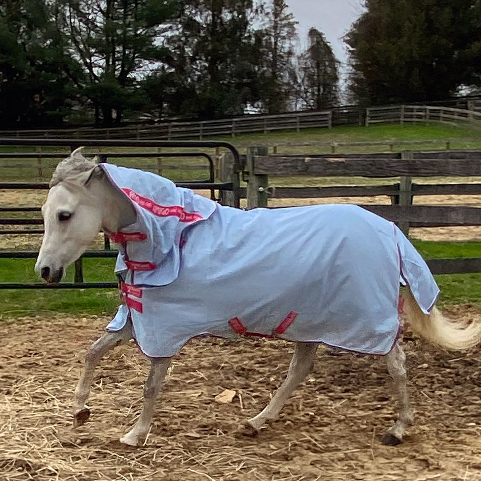 Posey Gets A Fly Sheet With A Waterproof Liner Posey Gets A Fly Sheet With A Waterproof Liner