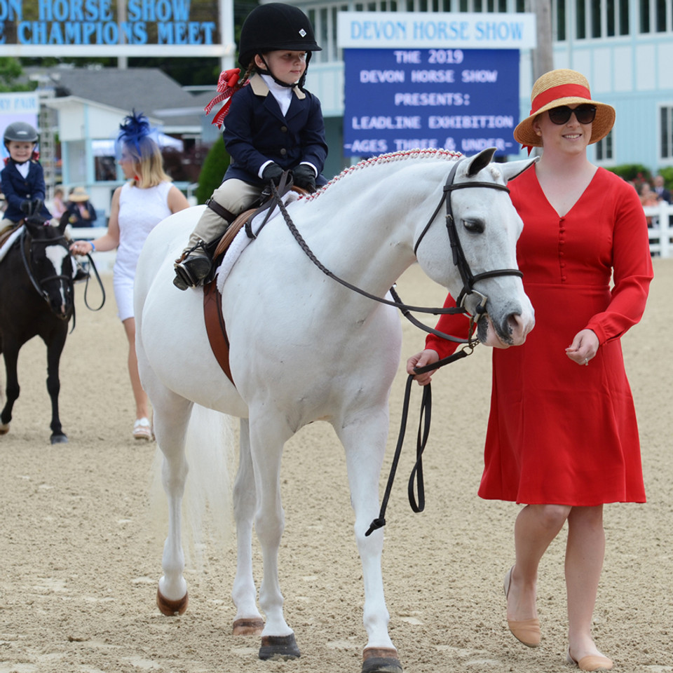 Lead Line at Devon, 2019