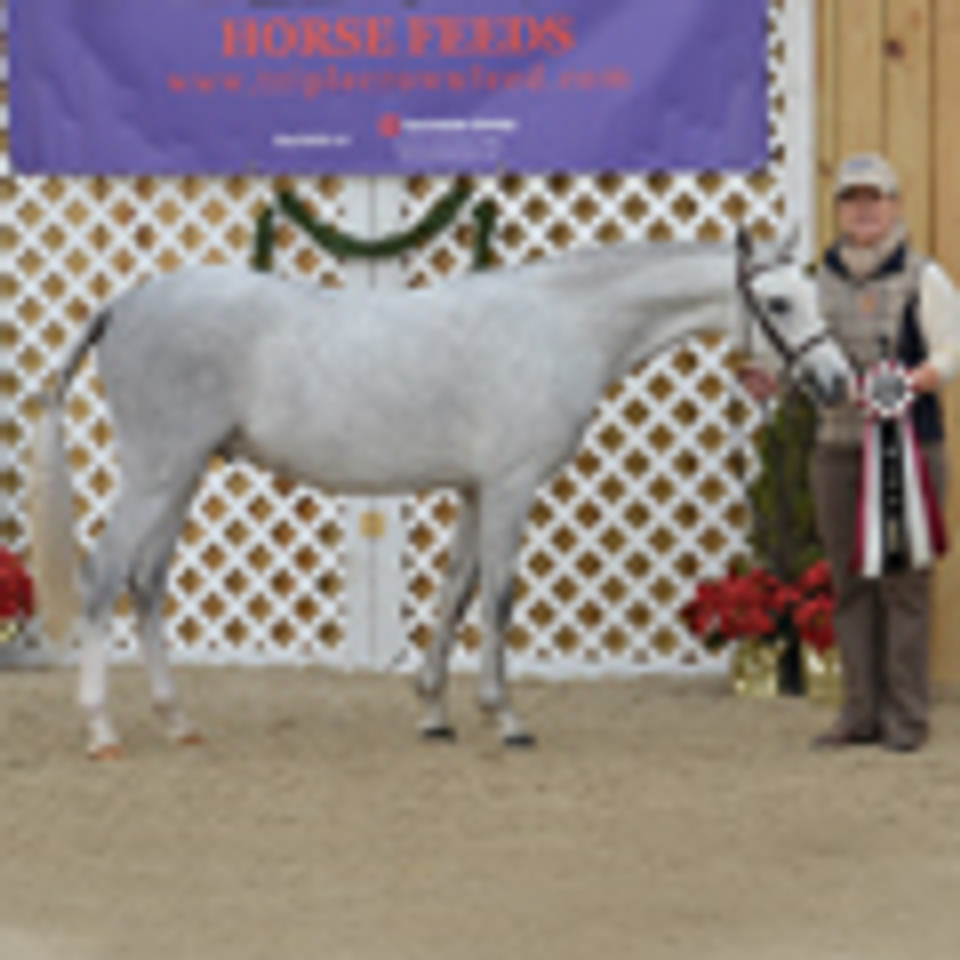 Merlin Goes to a Show Merlin Goes to a Show