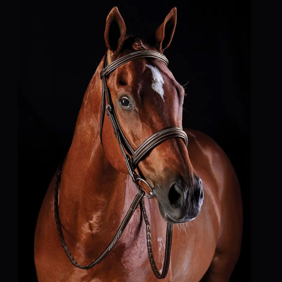 Collegiate Comfort Crown Raised Fancy Stitched Bridle - Thumbnail 3