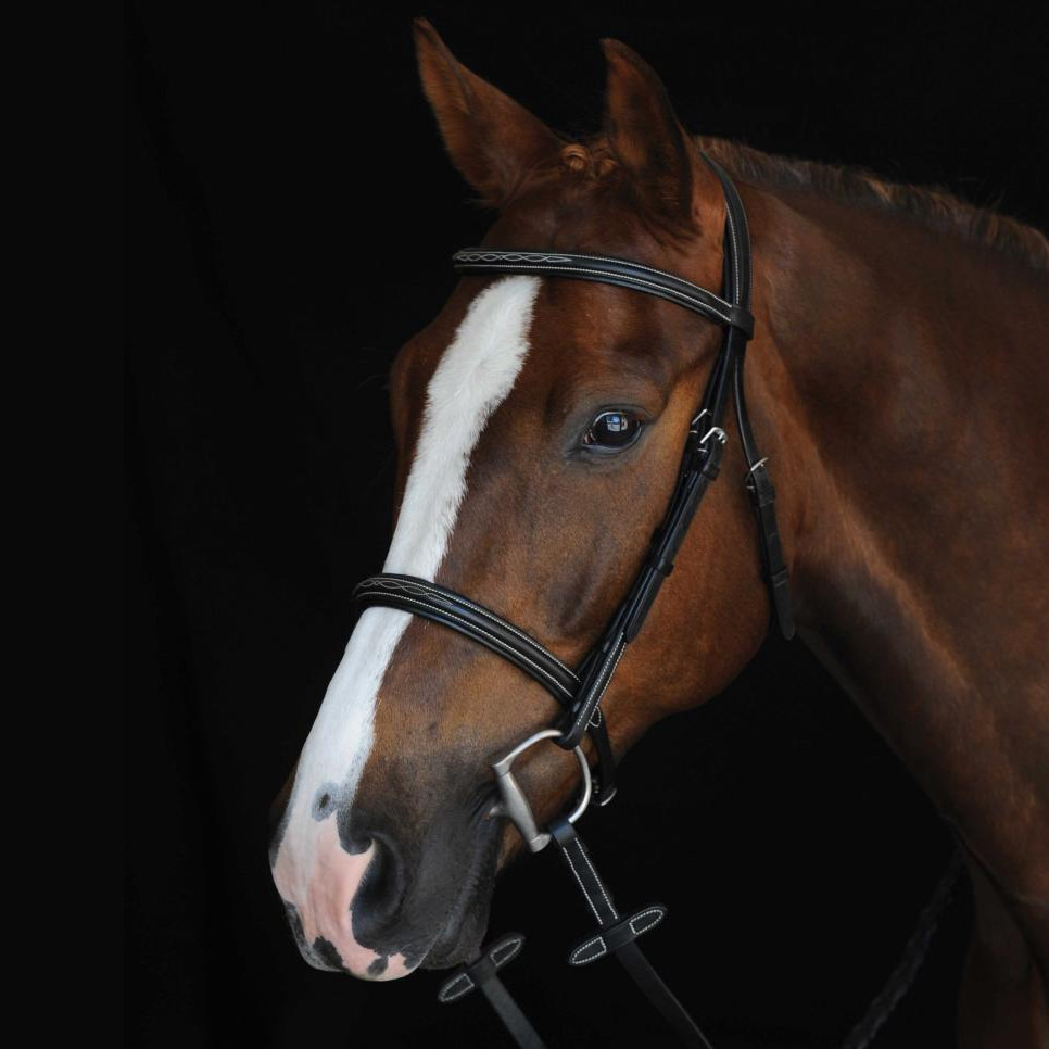 Collegiate Comfort Crown Raised Fancy Stitched Bridle - Thumbnail 2