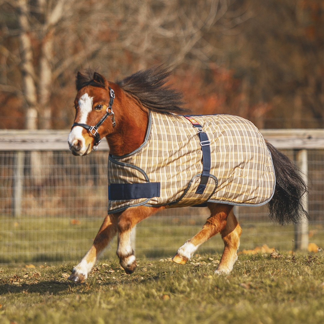 Baker Expand-O-Blanket for Foals or Ponies