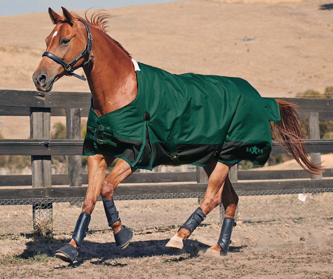 Couverture Imperméable Pour Poney Tough-1 - 1200 Deniers - Bleu Royal - Taille 50