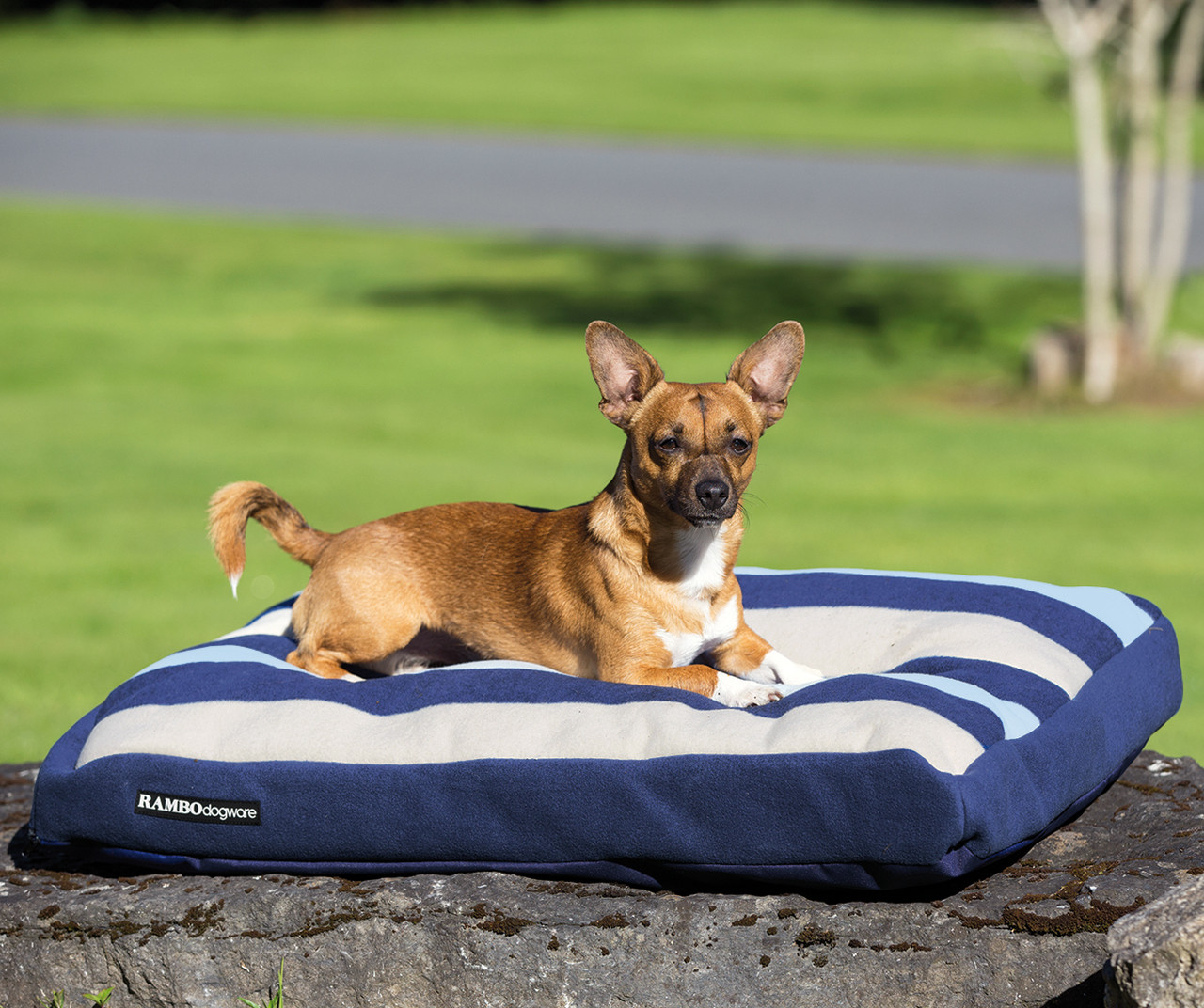 Horseware Rambo Deluxe Dog Bed, Three Witney Stripes