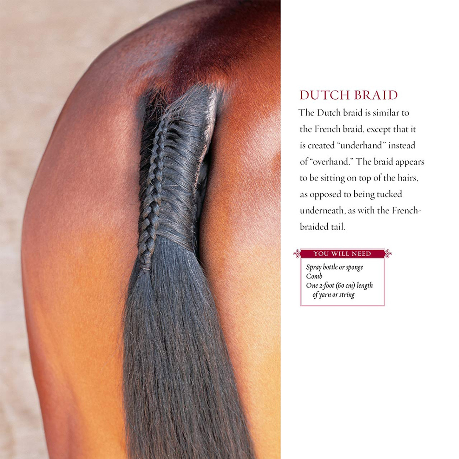 History Of Mane and Tail Braiding