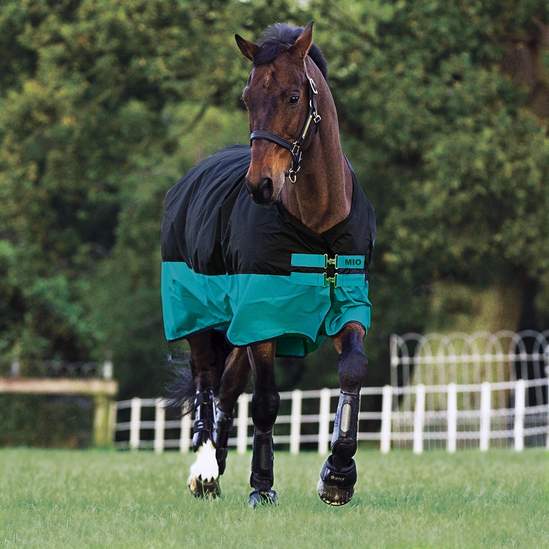 Horseware Mio Lite Turnout Sheet, Black with Turquoise, 45
