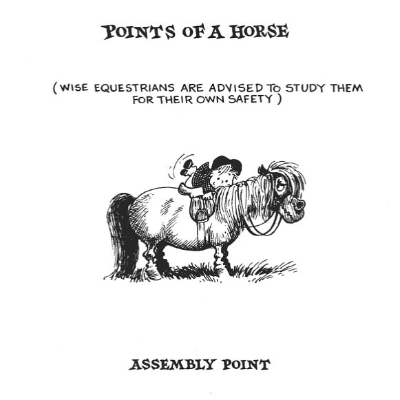 helwell-s-pony-panorama-three-books-in-one