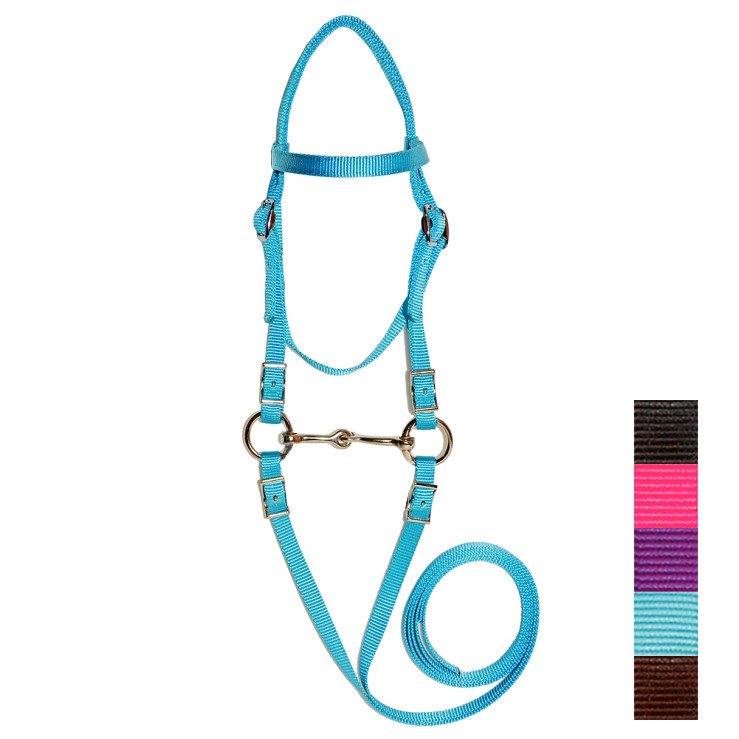 Mini Horse Headstall: Ultimate Guide to Comfort & Style