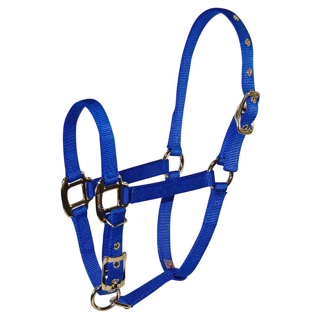 Hamilton Pet & Equine Hundeleine Aus Nylon, 1,9 Cm Breit, 1,8 M Lang, Mit Drehverschluss & Handschlaufe, Farbe Beerenblau