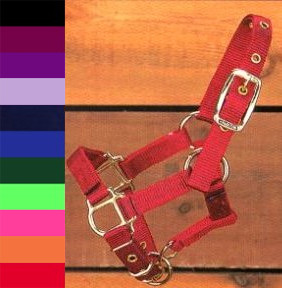 Hamilton Deluxe Nylon Halter, Pony Foals Weanlings