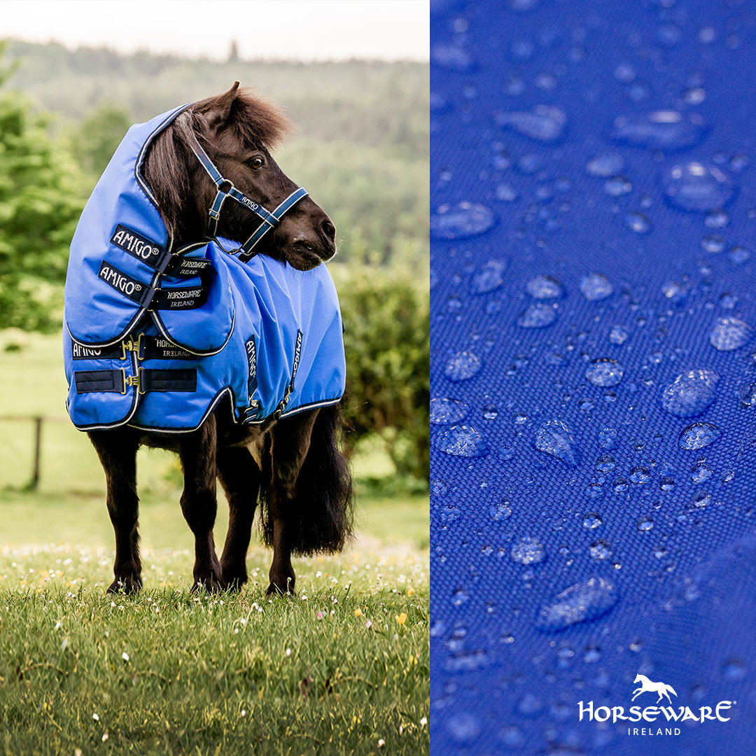 Amigo Hero 6 Petite Plus Turnout Sheet, Blue/Navy & Grey