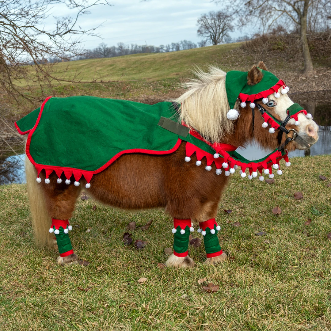 equine christmas fancy dress Holiday Wear, MINIATURE HORSE Elf Quarter Sheet