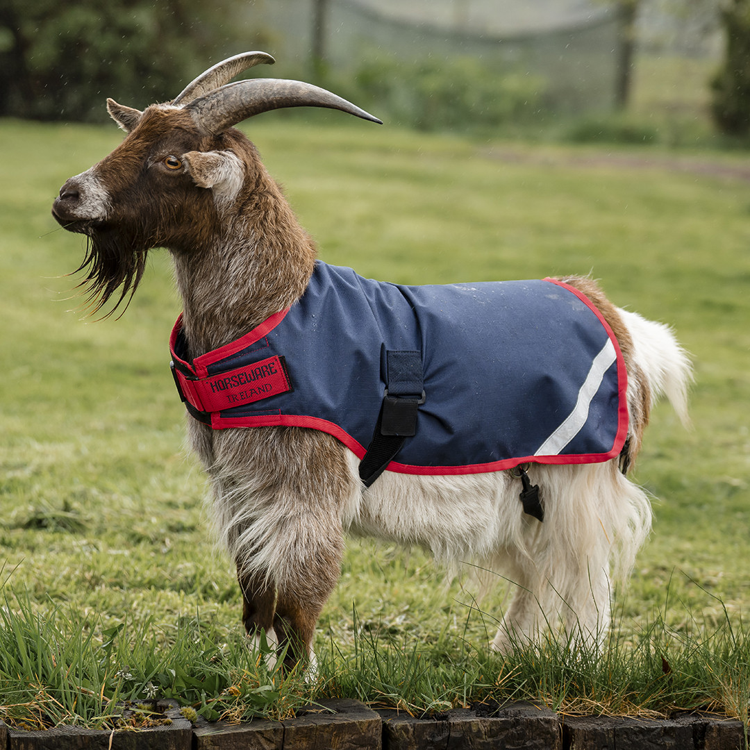 VINTAGE GOAT RIDING BLOUSON VINTAGE GOAT RIDING BLOUSON 1930s