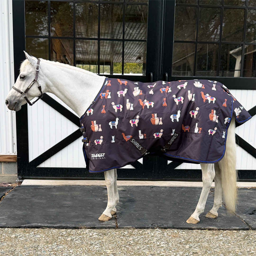 Shires Miniature Highlander 200, Turnout Blanket, Alpaca, 33