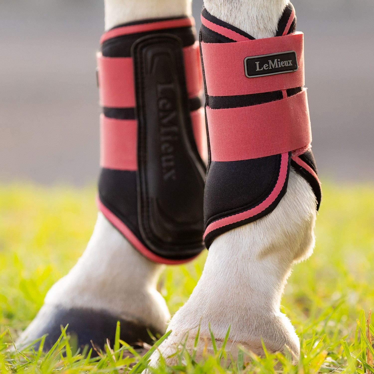 LeMieux Mini Grafter Brushing Boots, For Ponies 11.2 - 13h, 2 Colors