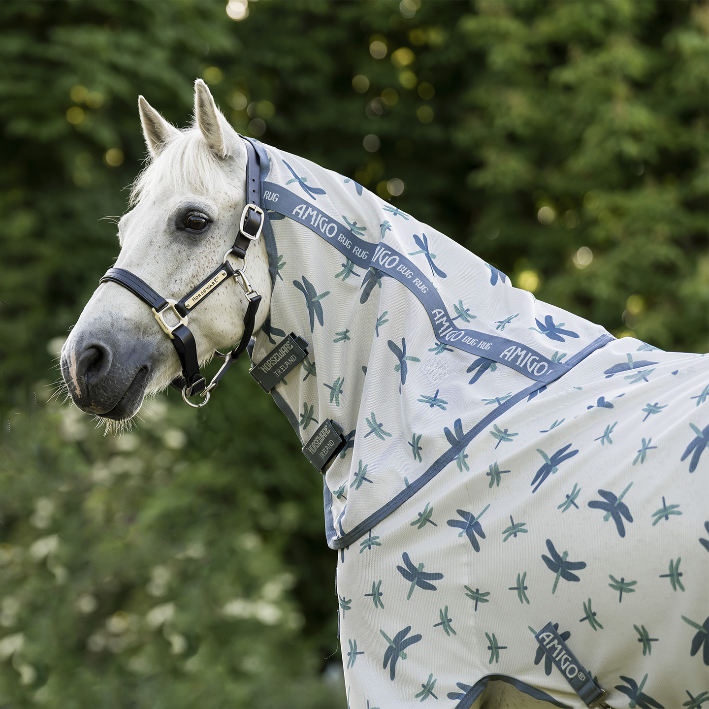 Amigo Bug Rug Fly Sheet Horseware Ireland – Coperta Anti-insetti Senza Imbottitura + Cappuccio Per Cavallo! Protezione Totale Da Mosche E Sole