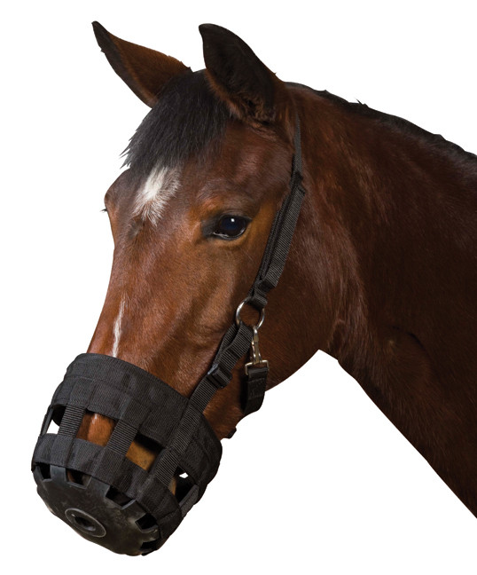 Muselière à Pâturage Pour Cheval – Taille Cob, Orange, Cuir Synthétique