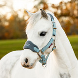 Nylon/Breakaway Halters