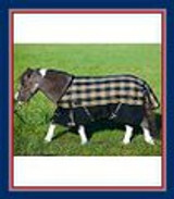 Foal/Mini Blankets