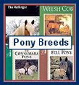 Pony Breeds