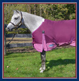 Pony Blankets