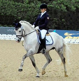 Pony Dressage