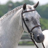 Pony Bridles