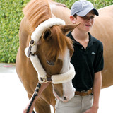 Pony Halter Accessories