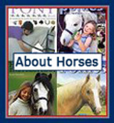 About Horses