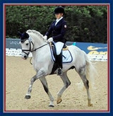 Dressage for Ponies