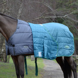 Overwhelmed by Blanket Choices? Pony Liners to the Rescue