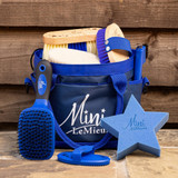 Pony Owner Guide: Essential Grooming Tools Checklist