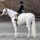 Why Your English Saddle Slips Forward on a Pony (and How to Fix It)
