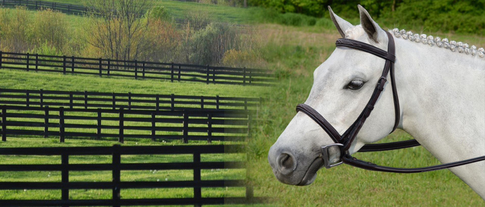 Pony bridles in small pony, mini, Shetland, Pony & Cob sizes