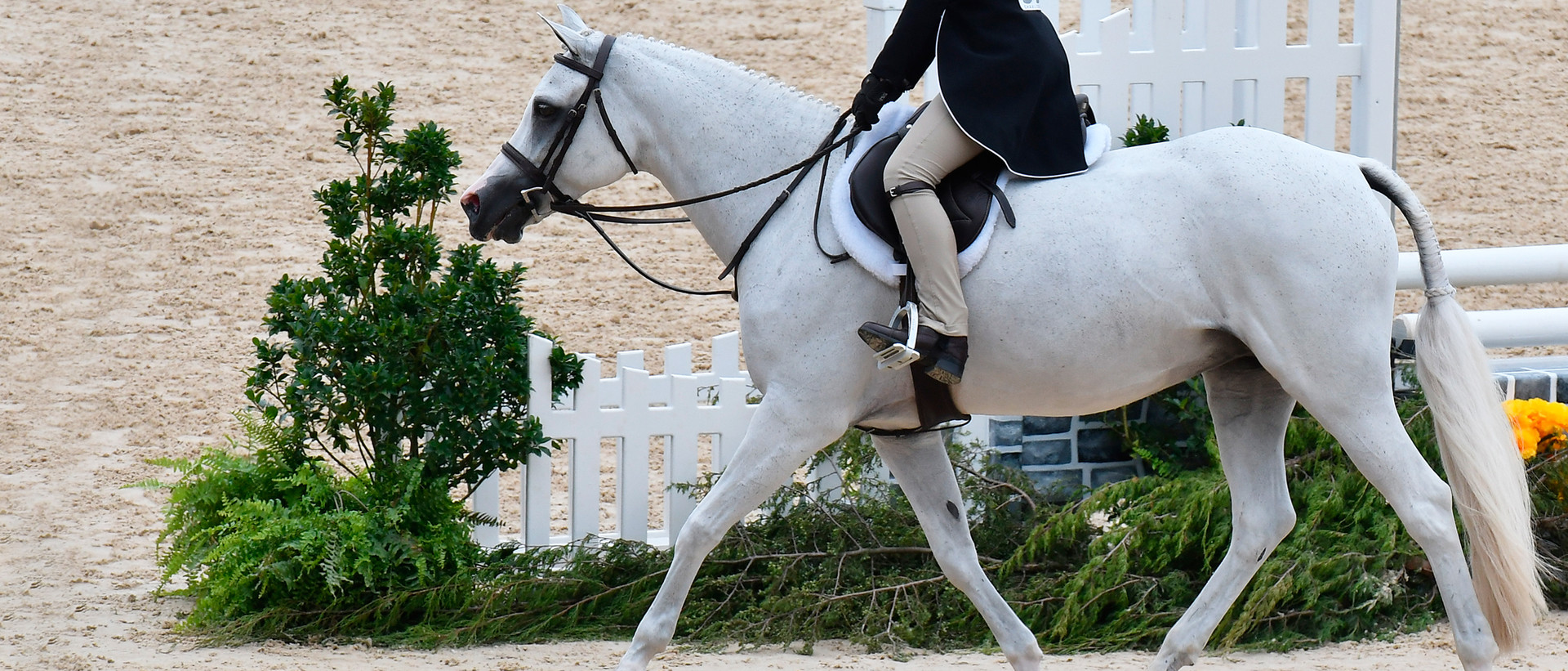 Huntley Equestrian pony tack & rider accessories