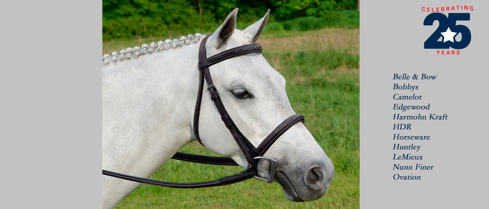 Pony bridles in small pony, mini, Shetland, Pony & Cob sizes