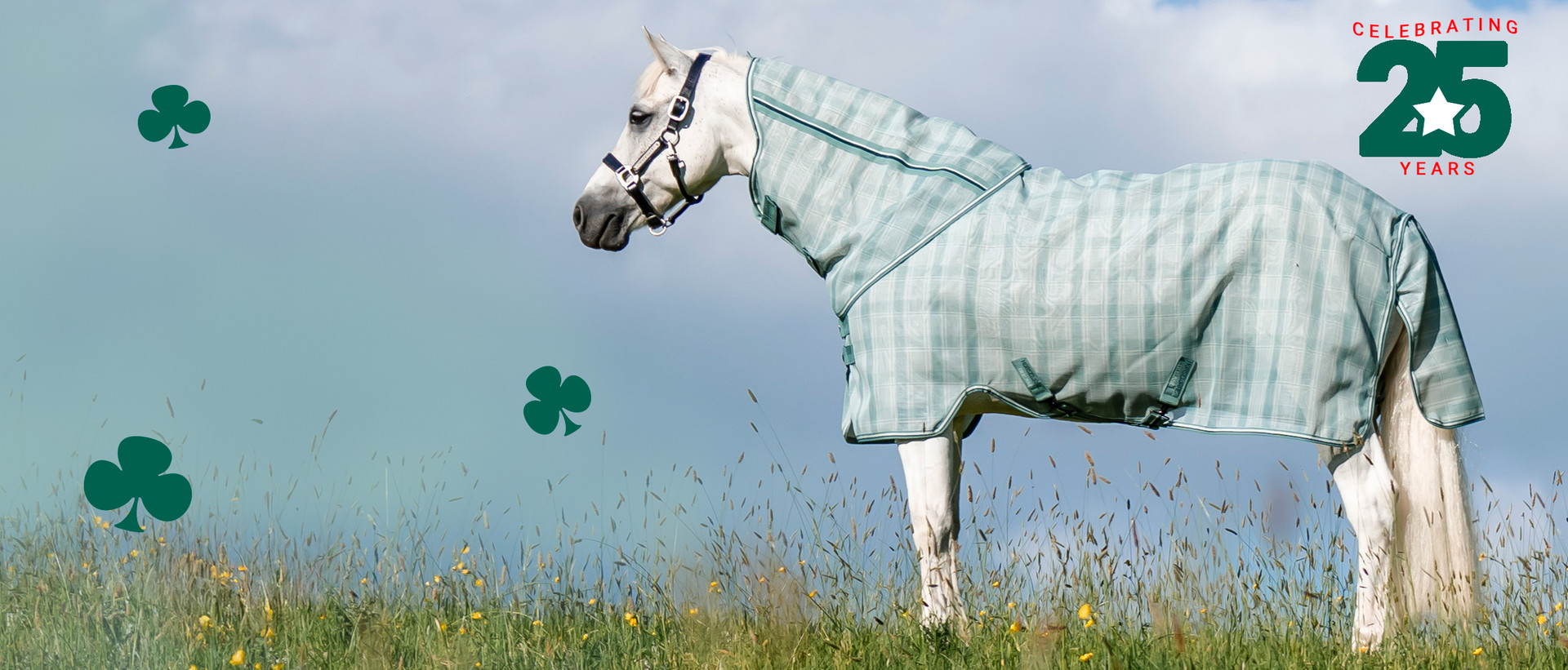 pony sheets, turnout, fly, coolers, scrims