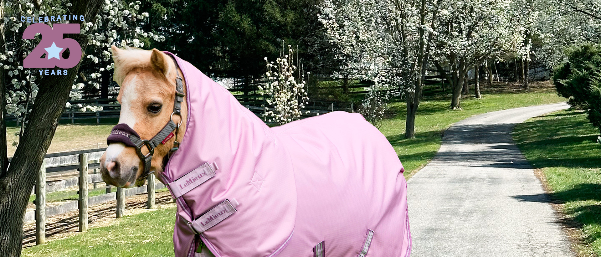 pony blankets on sale, Horseware, Weatherbeeta