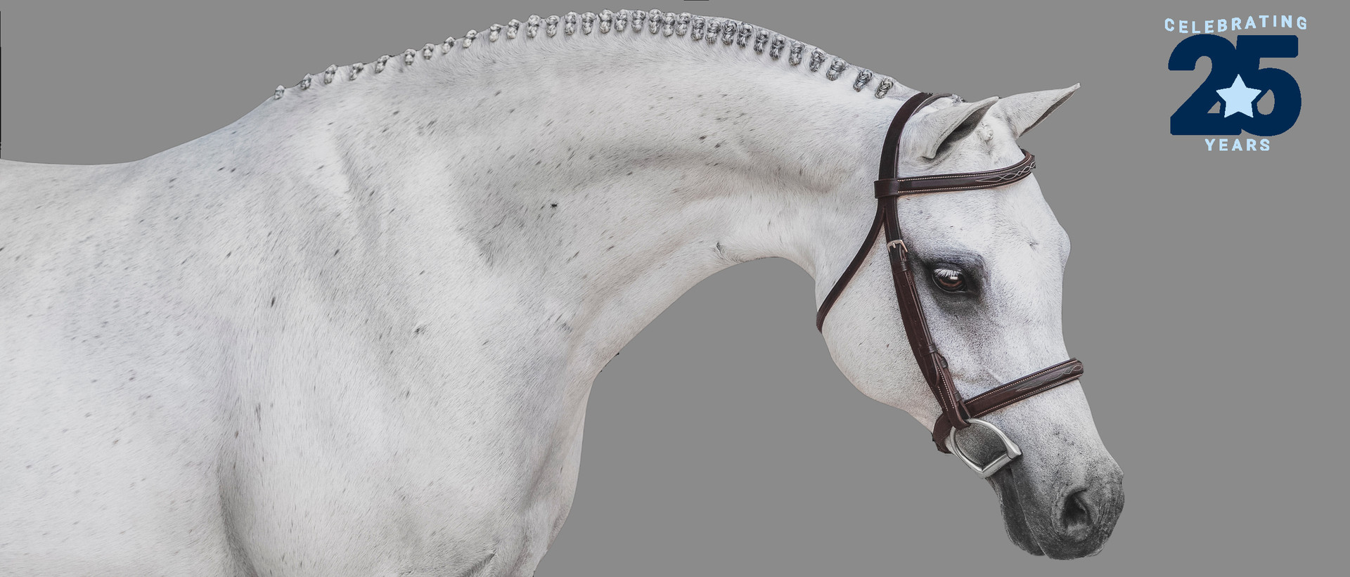 Pony bridles in small pony, mini, Shetland, Pony & Cob sizes