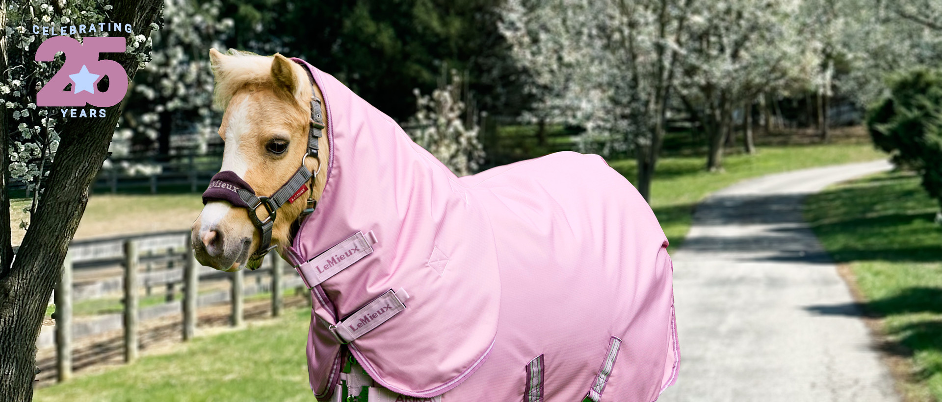 pony blankets on sale, Horseware, Weatherbeeta