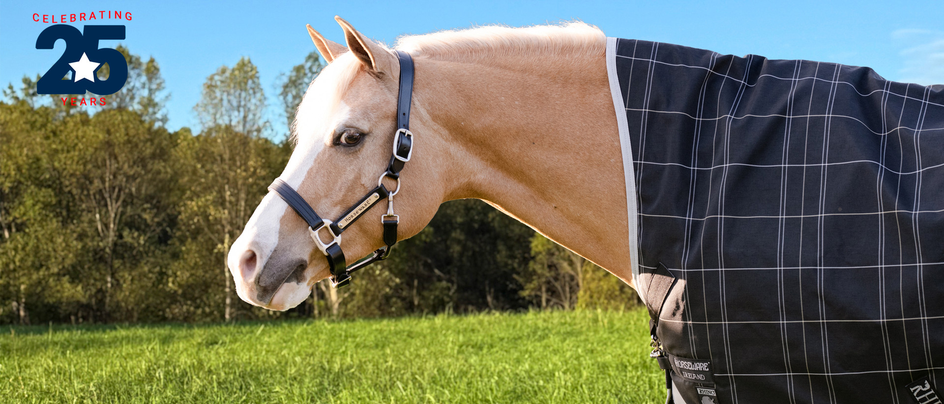 LeMieux for Ponies and Kids