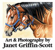 J Griffin-Scott